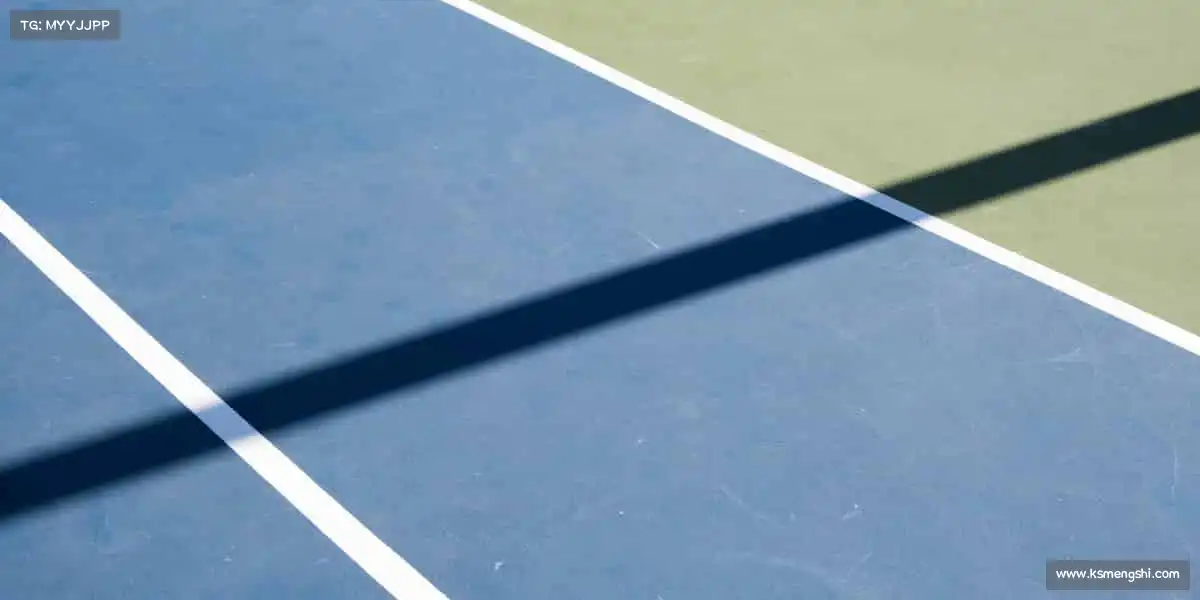 为什么选择我们